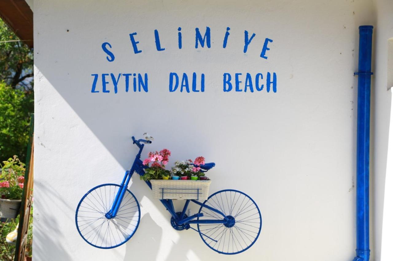Zeytin Dali Butik Otel Selimiye  Exteriör bild